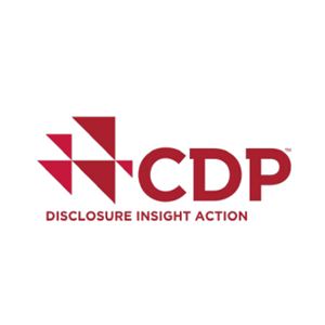 CDP認證